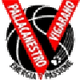 维加拉诺女篮logo