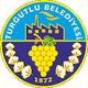 贝雷迪女篮logo