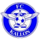 卡隆logo