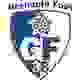 格勒诺布尔B队logo