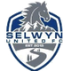 塞尔温联合logo