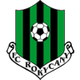 罗基察尼logo