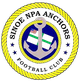 西诺尔NPA锚队logo