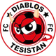 恶魔特斯坦俱乐部logo
