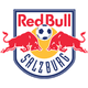 巴西红牛青年队logo