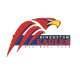 印度鹰logo