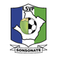松索纳特logo